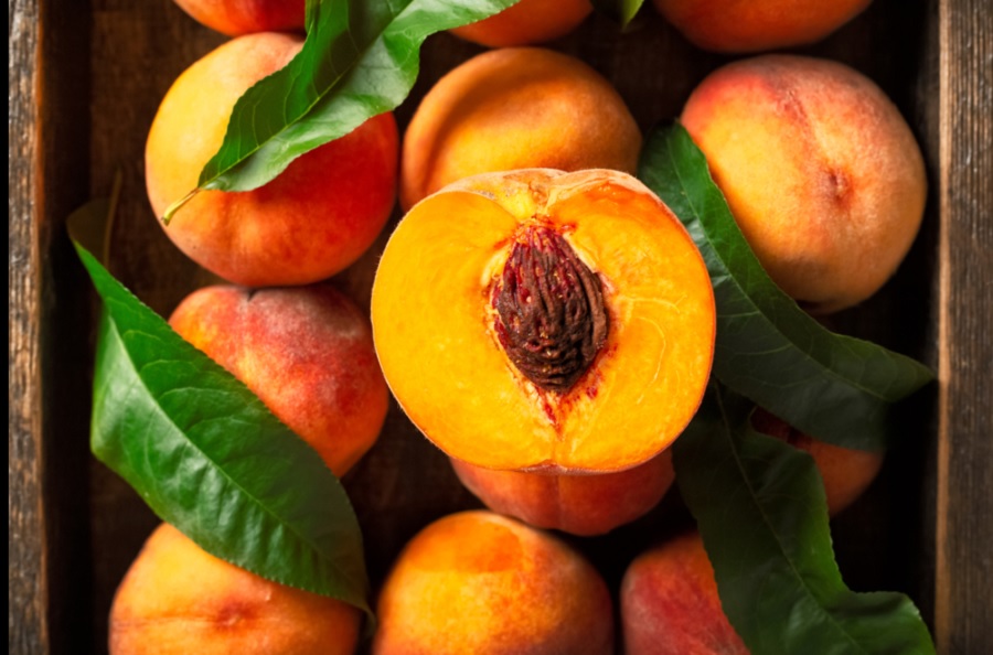 Doris Italian Market & Bakery